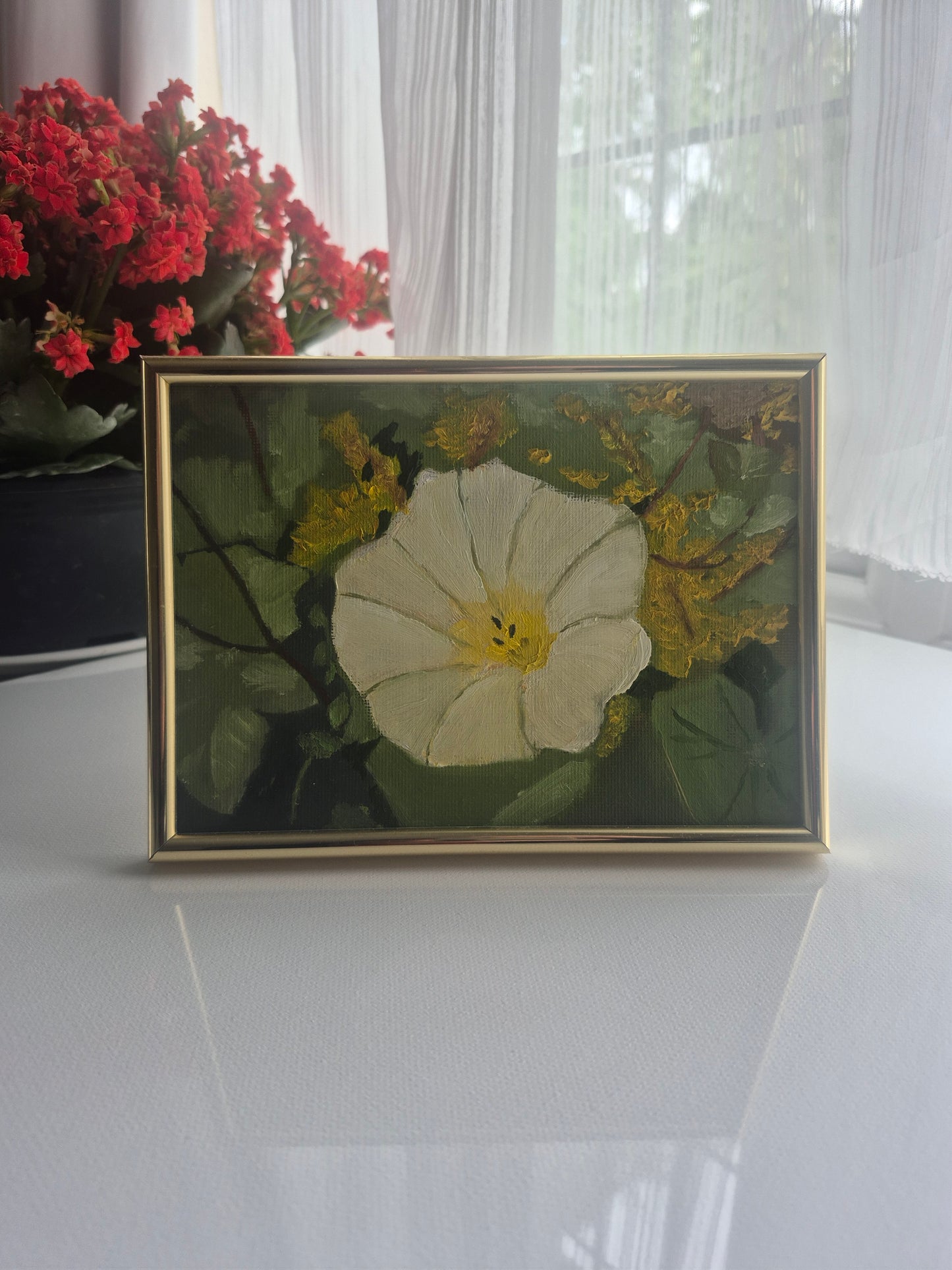 Bindweed