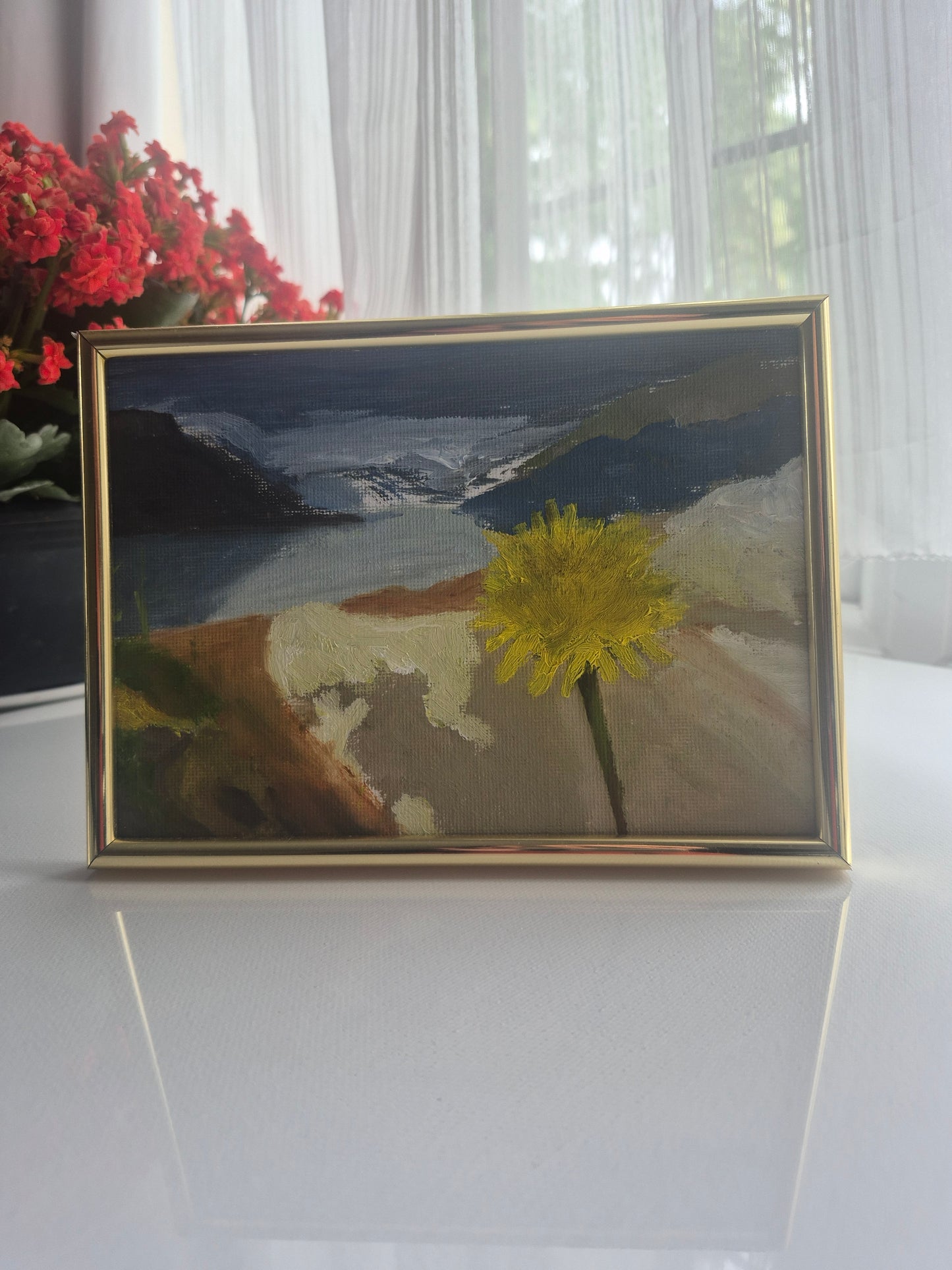 Dandelion Switzerland