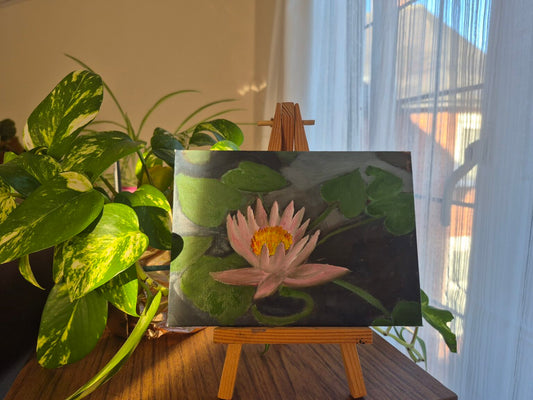 Water Lily
