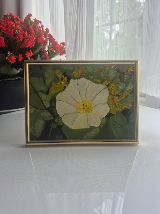 Bindweed